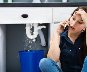 About Emergency plumbing pros Allenton, MI